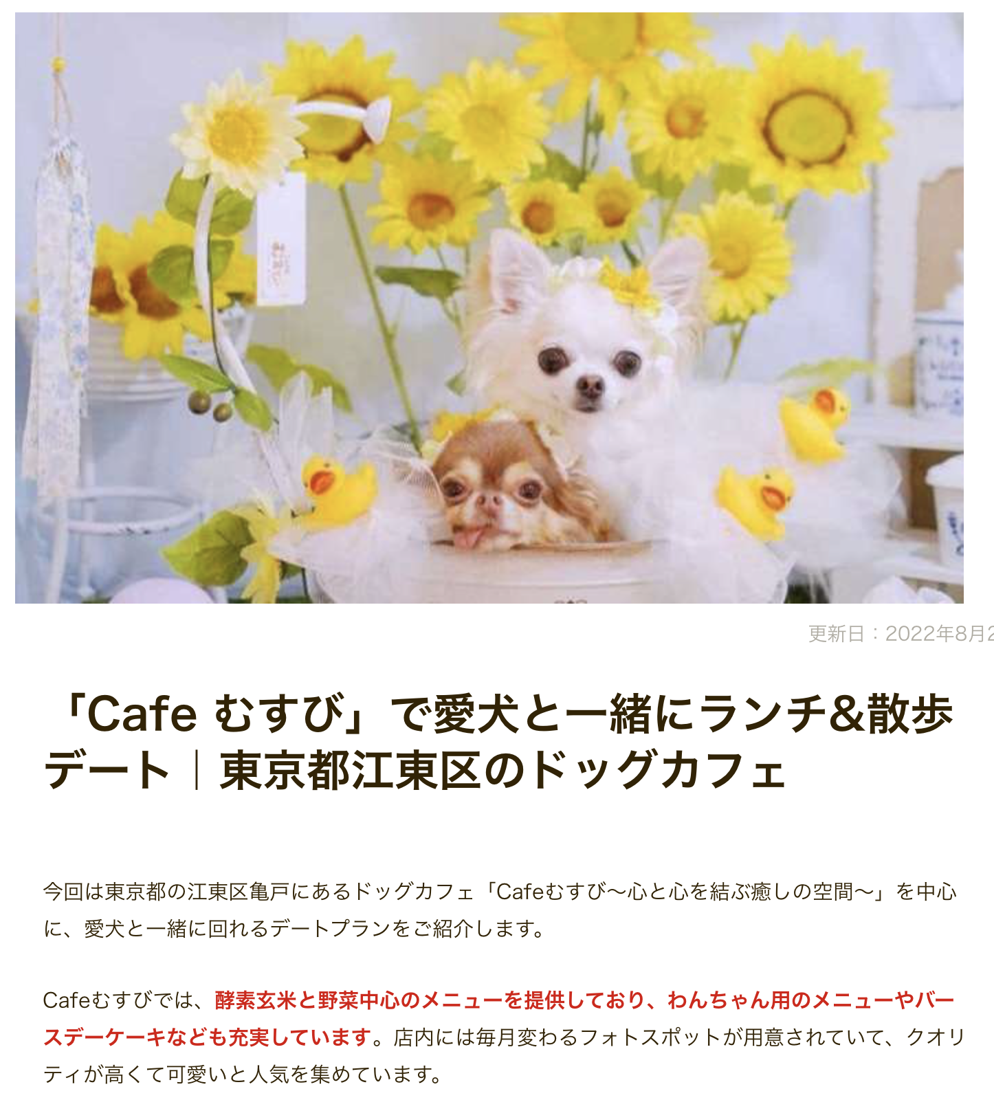 幸せだから笑うんじゃなくて 笑うから幸せなんだ Cafe むすび